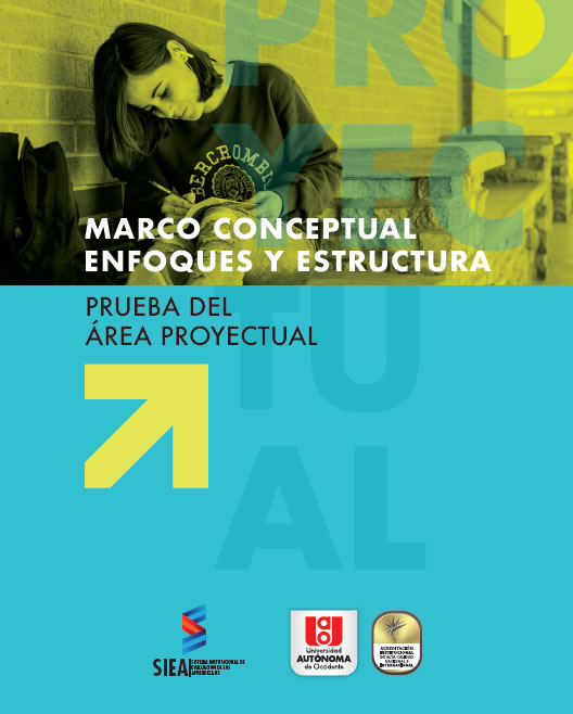 marco conceptual proyectual