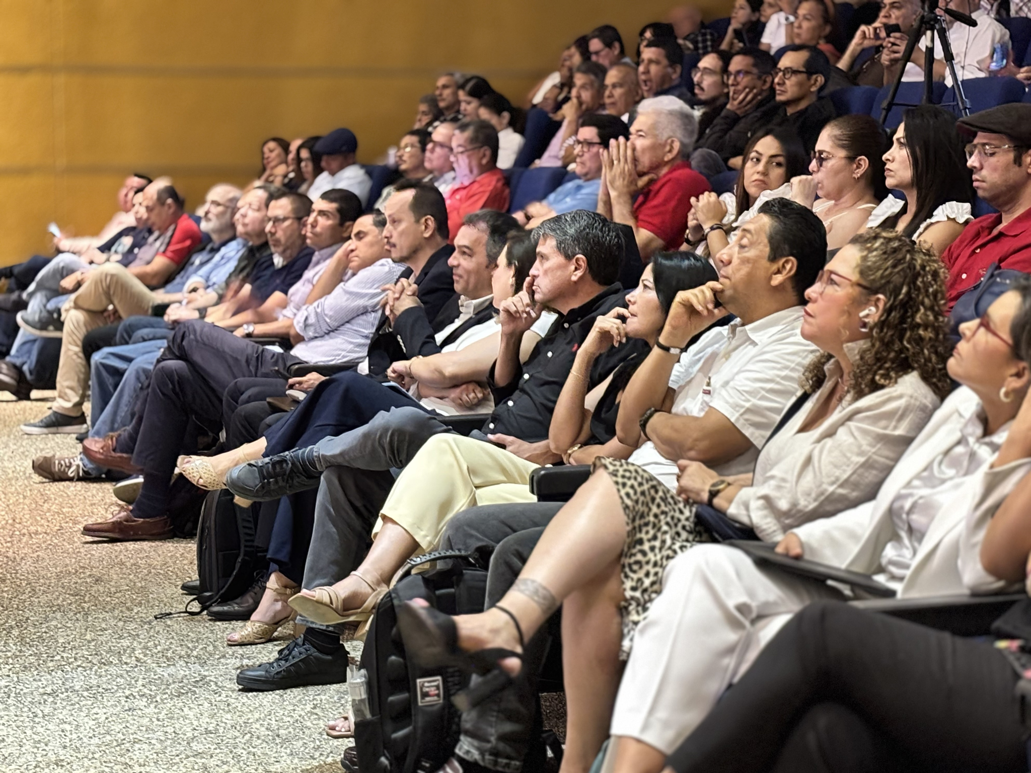 induccion docente 2025-3_3