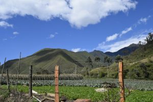 Programa de Turismo de Naturaleza para la reserva Forestal Protectora Nacional río Amaime y su zona de influencia y la subcuenca del río Nima. Programa de Turismo de Naturaleza para la reserva Forestal Protectora Nacional río Amaime y su zona de influencia y la subcuenca del río Nima.