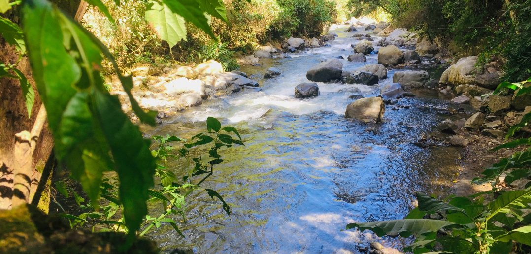 el programa de Turismo de Naturaleza del área protegida de Sonso-Guabas