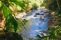 el programa de Turismo de Naturaleza del área protegida de Sonso-Guabas