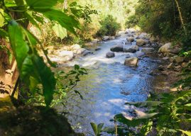 La UAO y la CVC le apuestan al turismo de naturaleza en la región