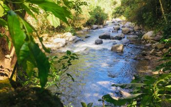 el programa de Turismo de Naturaleza del área protegida de Sonso-Guabas