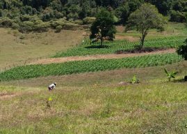 Descubra la magia de la zona rural de Palmira, el nuevo potencial turístico del Valle del Cauca