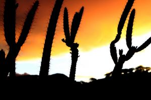 El Corredor Turístico de la Montaña, una apuesta de conservación y desarrollo desde el turismo de naturaleza