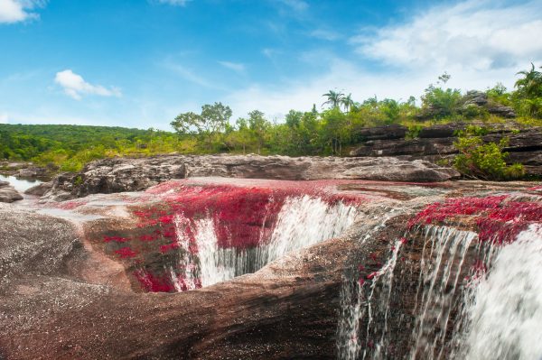 Caño Cristales, Meta, Colombia