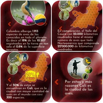 Ejemplo de Biodiversidad de Colombia importancia de un plan de mercadeo para posicionarlo