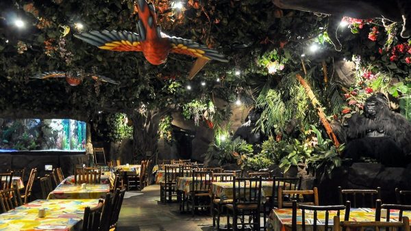 Rainforest Cafe - Comportamiento del Consumidor