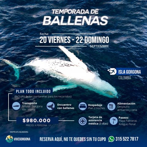 Lancha promocional del mes de septiembre Estrategia digital de la lancha promocional del mes de septiembre