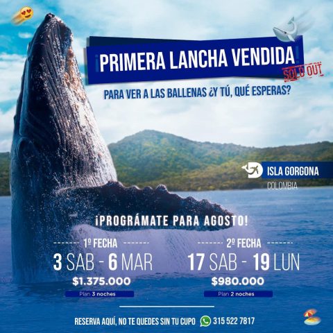 siguientes fechas disponibles Estrategia digital para las siguientes fechas disponibles